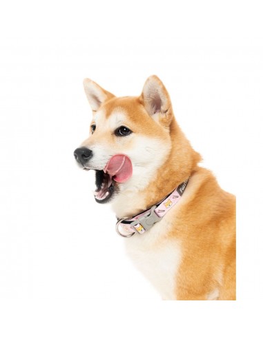 Coleira em neopreno para cães FuzzYard SuShiba (tamanho L)