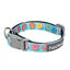 Coleira em neopreno para cães FuzzYard You Drive Me Glazy (tamanho S)