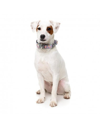 Coleira em neopreno para cães FuzzYard Bubblegum Burst (tamanho S)