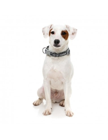 Coleira em neopreno para cães FuzzYard Fitzroy (tamanho S)