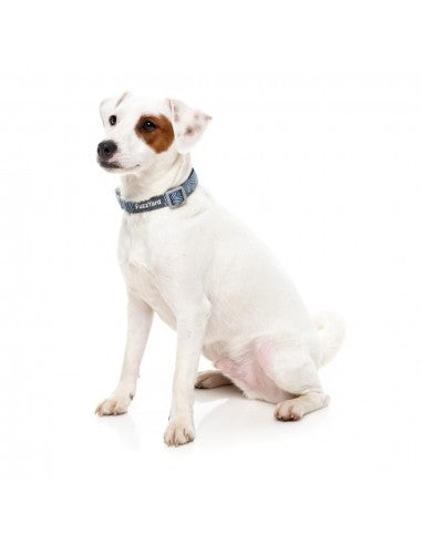 Coleira em neopreno para cães FuzzYard Thornbury Aegean Blue (tamanho L)