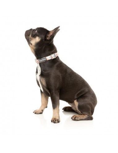 Coleira acolchoada em neopreno para cães FuzzYard Yazd (tamanho M)