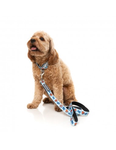 Trela em neopreno para cães FuzzYard Ahoy There! (tamanho L)
