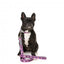 Trela em neopreno para cães FuzzYard Fiesta (tamanho L)