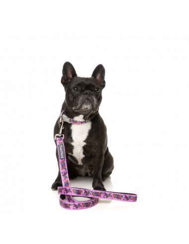 Trela em neopreno para cães FuzzYard Fiesta (tamanho L)