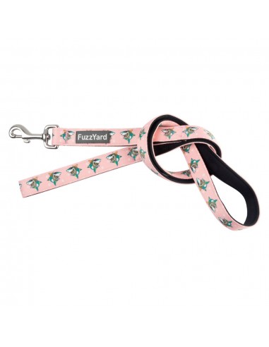 Trela em neopreno para cães FuzzYard LL Cool Jaw$ (tamanho L)