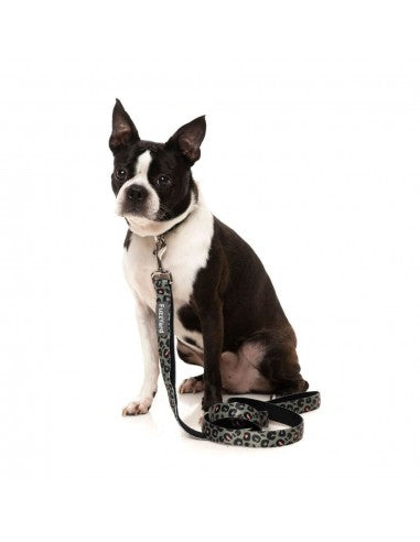 Trela em neopreno para cães FuzzYard Savanna (tamanho S)