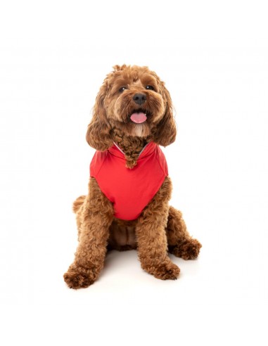 Impermeável corta-vento para cães FuzzYard Breaker vermelho