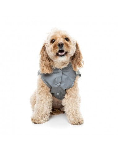 Impermeável com capuz para cães FuzzYard Evo refletor