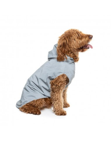 Impermeável com capuz para cães FuzzYard Evo refletor
