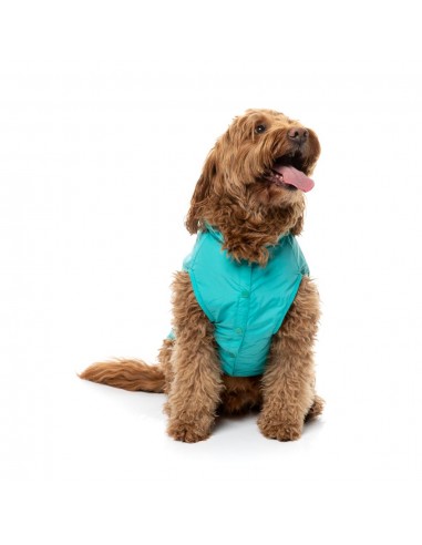 Impermeável com capuz para cães FuzzYard Evo verde-azulado