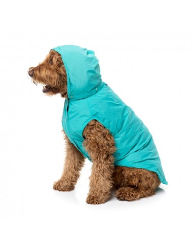Impermeável com capuz para cães FuzzYard Evo verde-azulado