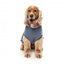 Camisola de algodão para cães FuzzYard Allday 25 azul