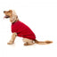 Camisola de algodão para cães FuzzYard Allday 25 vermelha
