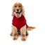 Camisola de algodão para cães FuzzYard Allday 25 vermelha