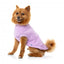 Camisola de algodão para cães FuzzYard Allday lilás