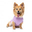 Camisola de algodão para cães FuzzYard Allday lilás