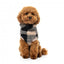 Camisola teddy para cães FuzzYard Checkered Teddy preta e bege