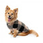 Camisola teddy para cães FuzzYard Checkered Teddy preta e bege