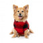 Camisola para cães FuzzYard Checkered Teddy vermelha