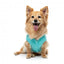 Camisola de malha para cães FuzzYard FuzzBear aqua