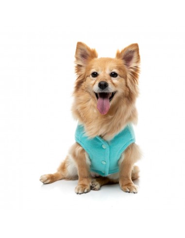 Camisola de malha para cães FuzzYard FuzzBear aqua