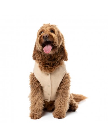 Camisola de malha para cães FuzzYard FuzzBear bege