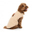 Camisola de malha para cães FuzzYard FuzzBear bege