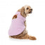 Camisola de malha para cães FuzzYard FuzzBear lilás