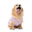 Camisola de malha para cães FuzzYard FuzzBear lilás