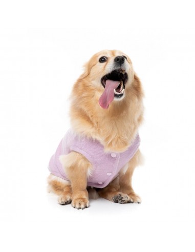 Camisola de malha para cães FuzzYard FuzzBear lilás