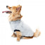 Camisola de peluche para cães FuzzYard Frosted Teddy azul-marinho