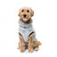 Camisola de peluche para cães FuzzYard Frosted Teddy azul-marinho