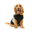 Camisola com capuz para cães FuzzYard Track, preto e salva (tamanho 1)