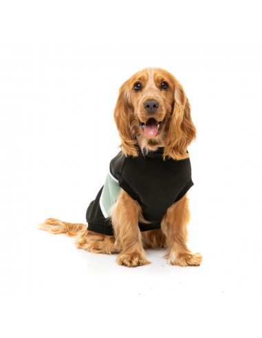 Camisola com capuz para cães FuzzYard Track, preto e salva (tamanho 1)