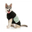 Camisola com capuz para cães FuzzYard Track, preto e salva (tamanho 1)