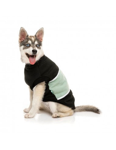 Camisola com capuz para cães FuzzYard Track, preto e salva (tamanho 1)