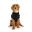 Camisola com capuz para cães FuzzYard Track, preto e salva (tamanho 1)