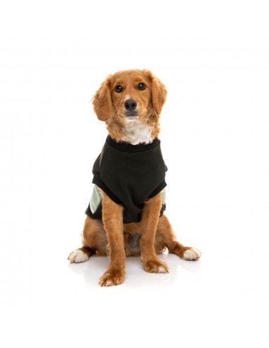 Camisola com capuz para cães FuzzYard Track, preto e salva (tamanho 1)