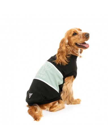Camisola com capuz para cães FuzzYard Track, preto e salva (tamanho 1)