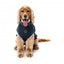 Camisola bordada para cão FuzzYard Smiley azul-marinho
