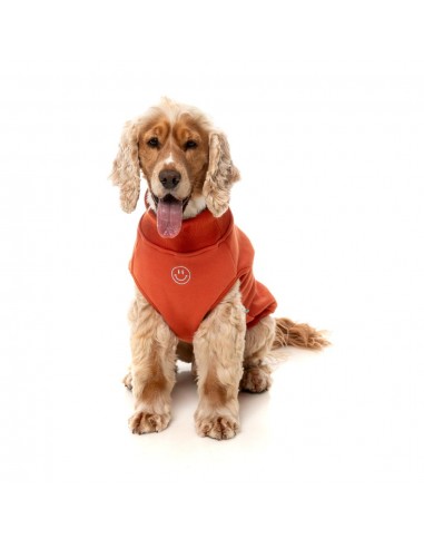 Camisola bordada para cão FuzzYard Smiley cor de ferrugem