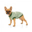 Camisola com capuz para cães FuzzYard Smiley Tie-rus, verde (tamanho 1)