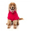 Camisola de gola alta para cão FuzzYard Stevie 25 magenta