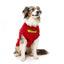 Camisola para cães FuzzYard The Woof, algodão vermelho (tamanho 1)