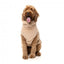Camisola para cães FuzzYard Turtle Teddy 25 Desert Tan (tamanho 1)