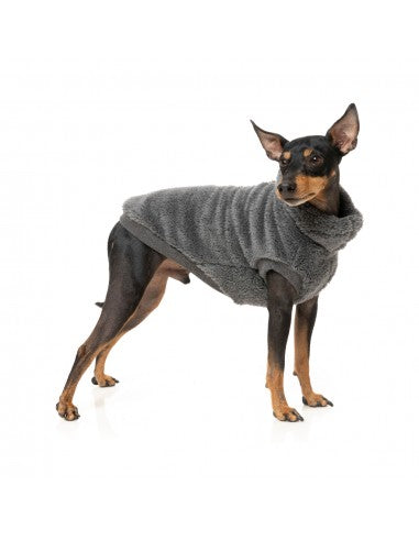 Camisola para cão FuzzYard Turtle Teddy antracite