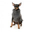 Camisola para cão FuzzYard Turtle Teddy antracite