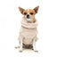 Camisola para cão FuzzYard Turtle Teddy bege