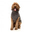 Camisola para cão FuzzYard Turtle Teddy Gunmetal Grey